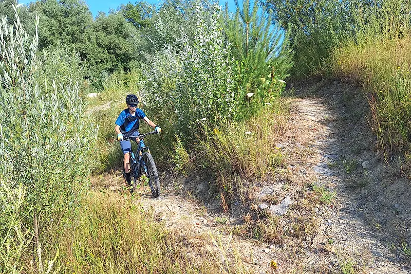 Trails im Skills-Park Merenschwand